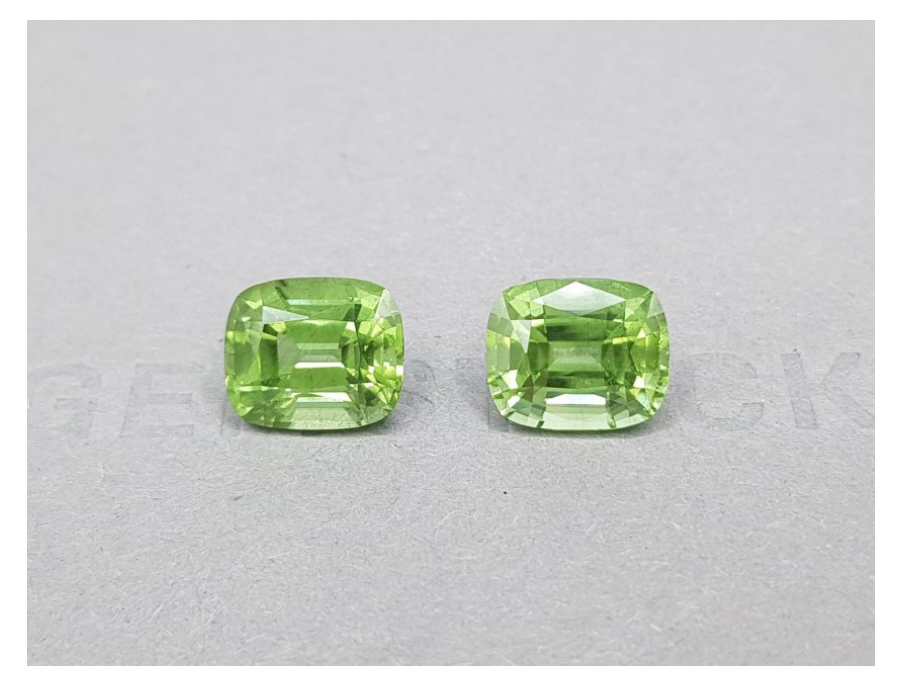 Peridots pair