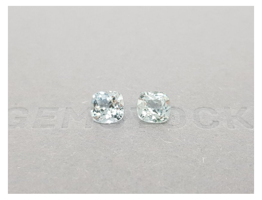 Leucosapphires pair