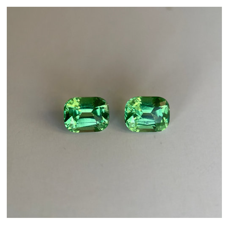 Tsavorite Garnet (Tsavorite Pair / Earring Pair)